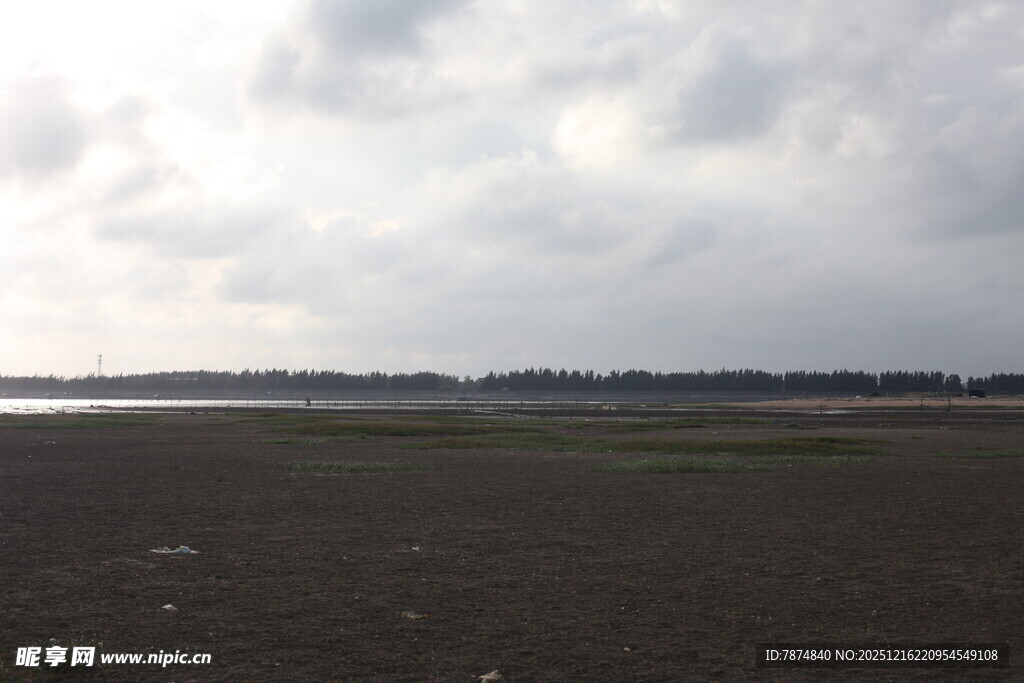 广袤田野与阴沉天空景象