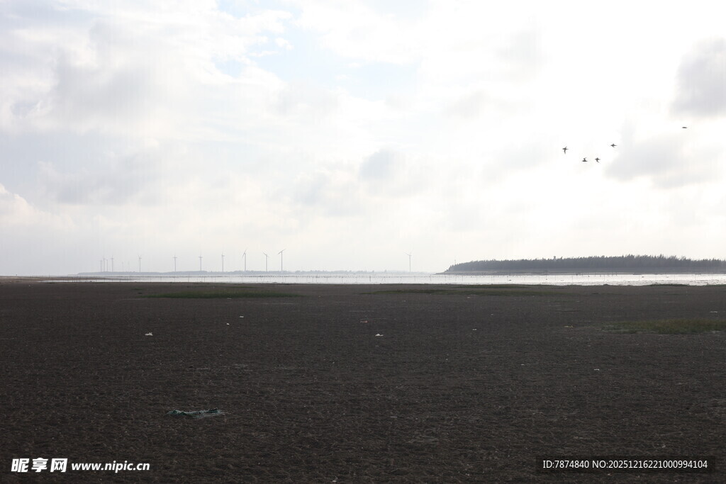 广阔黑土地与远处岛屿