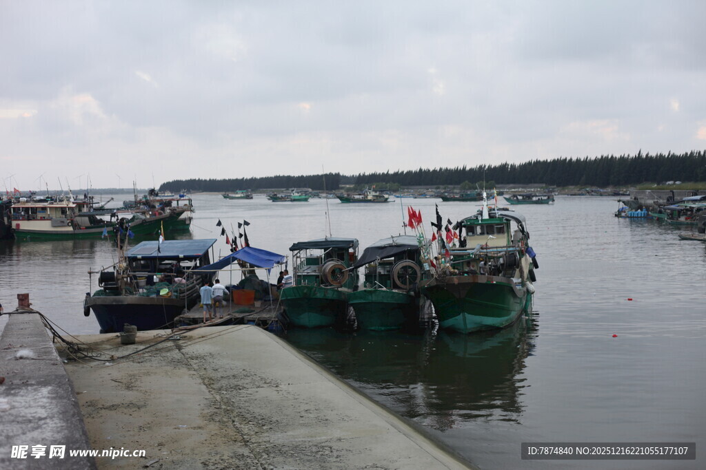 港口停泊的多艘船只