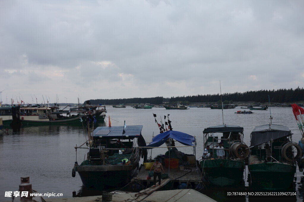 港口停泊的多艘船只