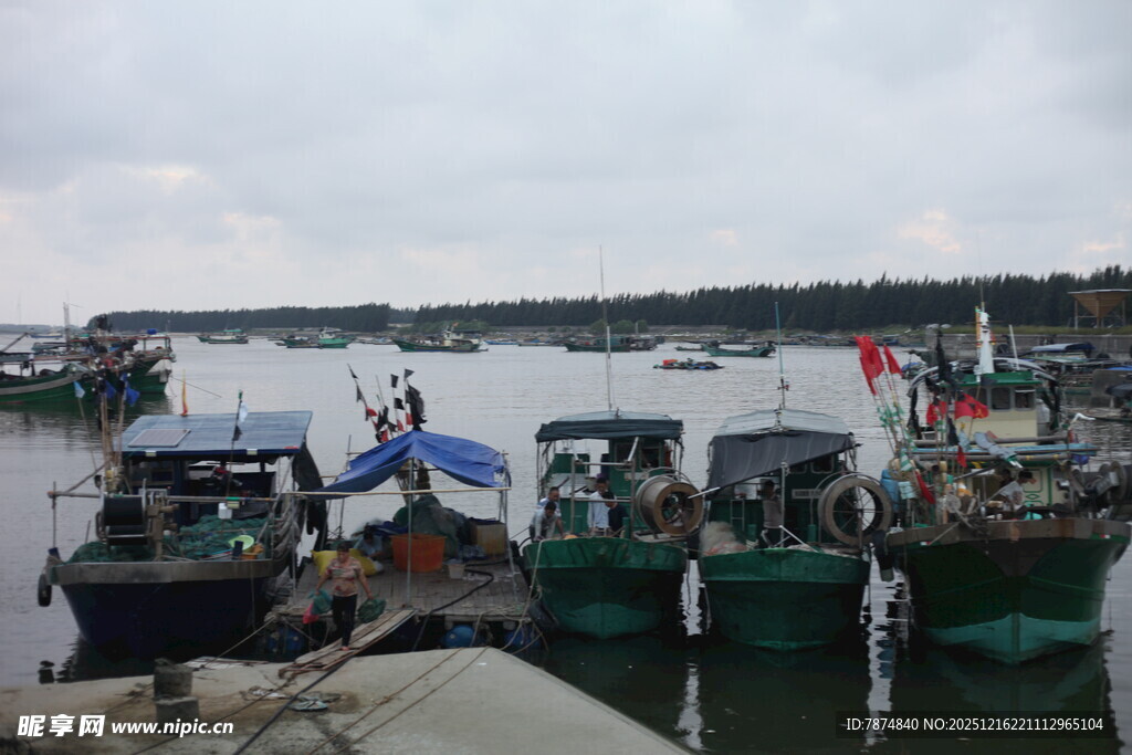 港湾中的停泊渔船
