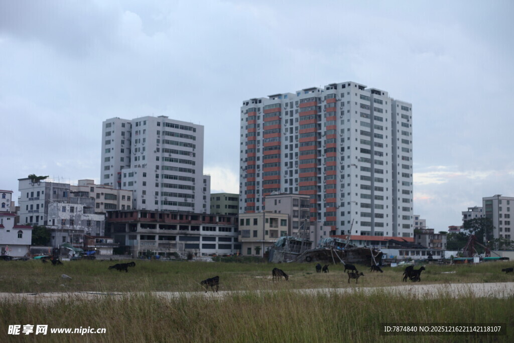 城市高楼与前方开阔草地