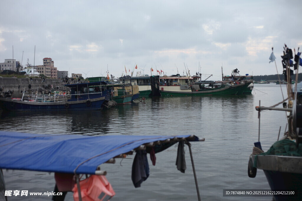 渔港停泊的船只景象