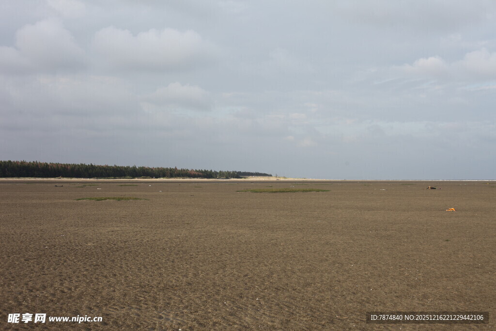 广阔平坦的空旷沙地景观