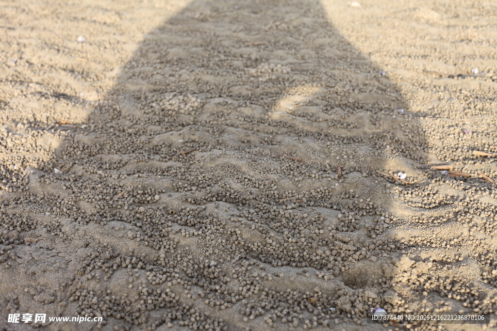 沙滩上的人影轮廓