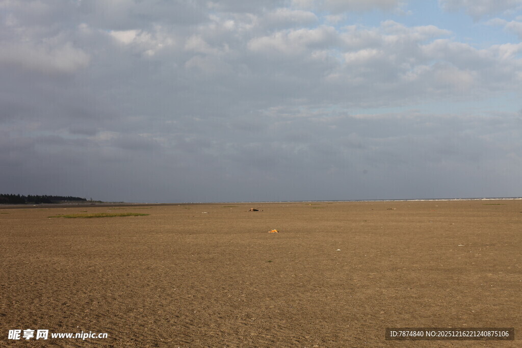 广袤金黄田野与天际云朵
