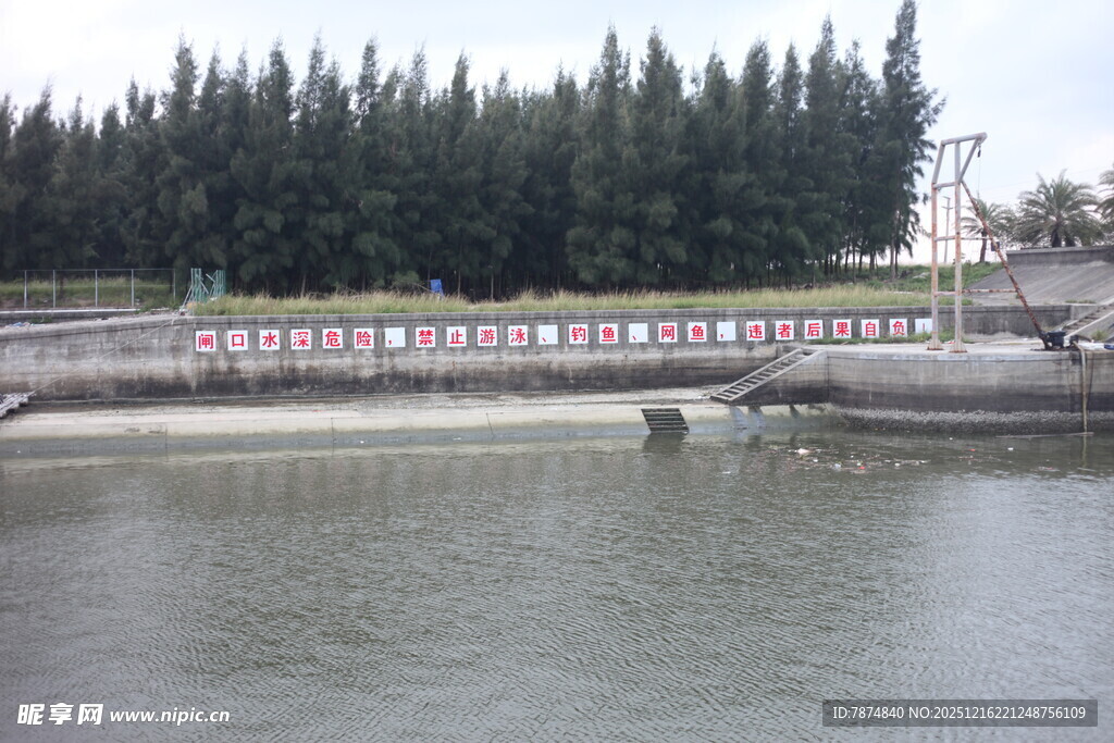 河边桥梁与茂密树林景观