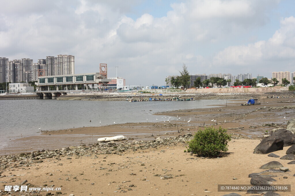 海滨城市岸边风景