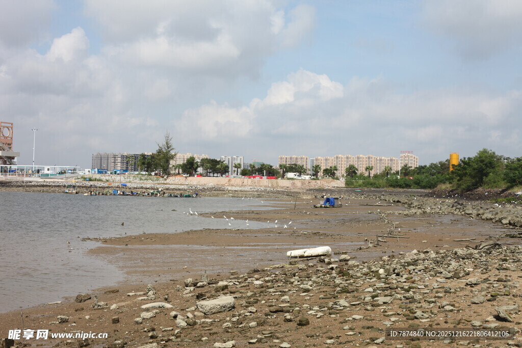 河边滩涂景象