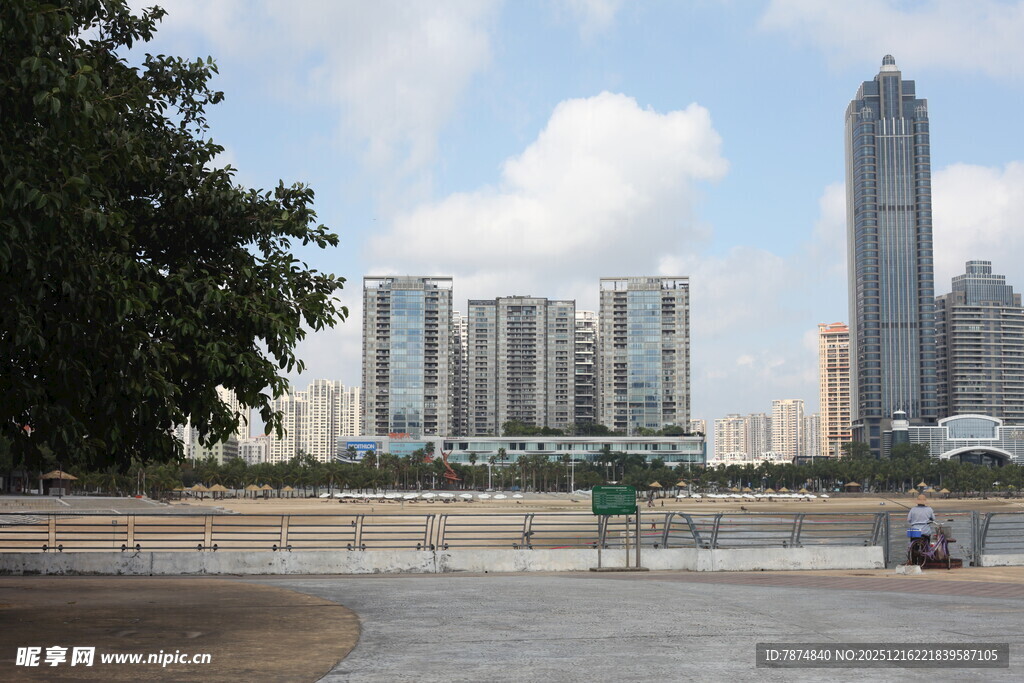 城市河畔风景与高楼