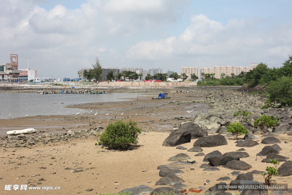 海滨沙滩岩石风景图