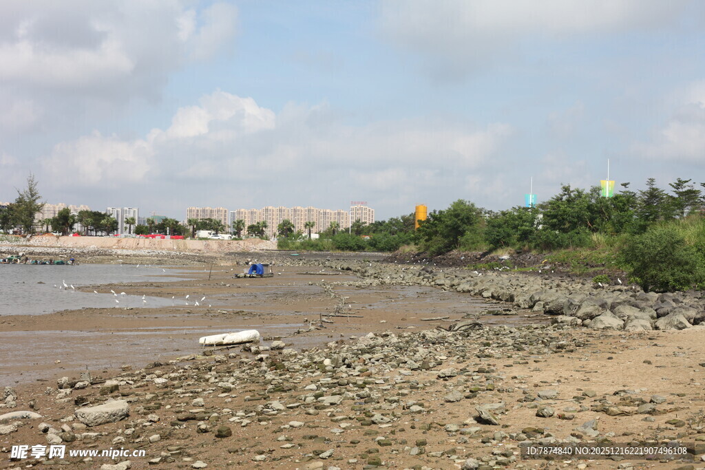 河岸风光宁静的自然景致