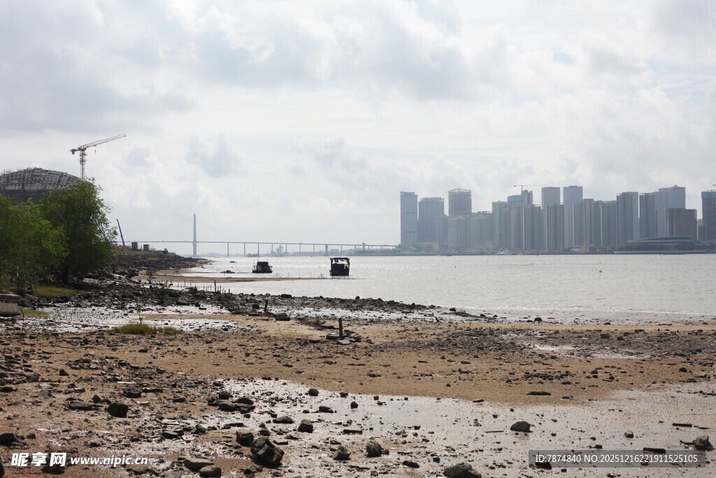 江边滩涂与远处城市景观