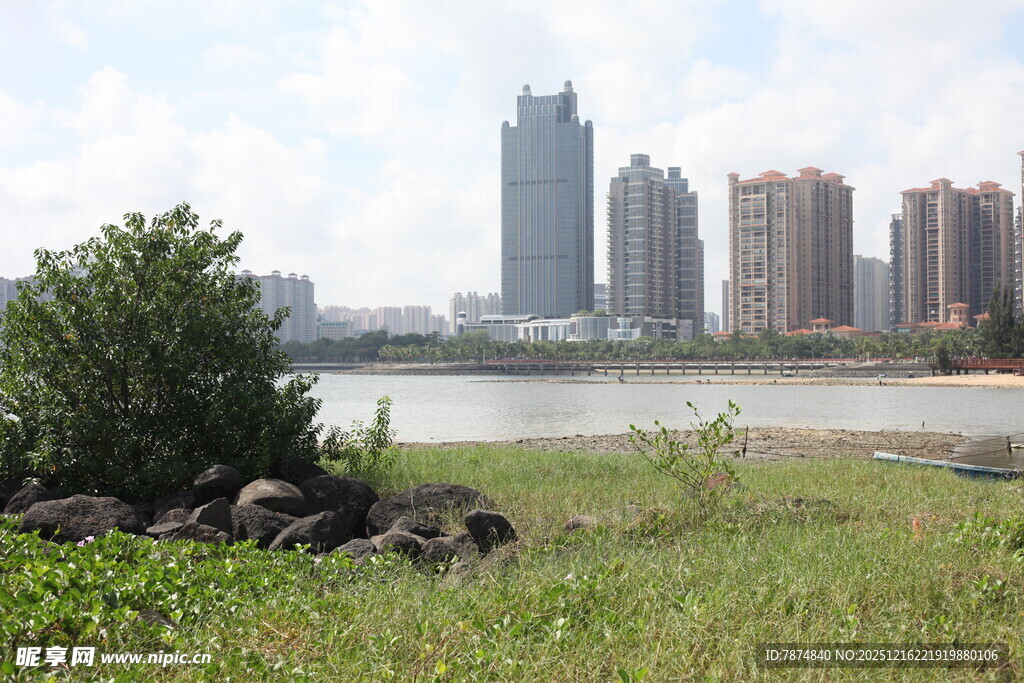 河畔城市景观与绿植