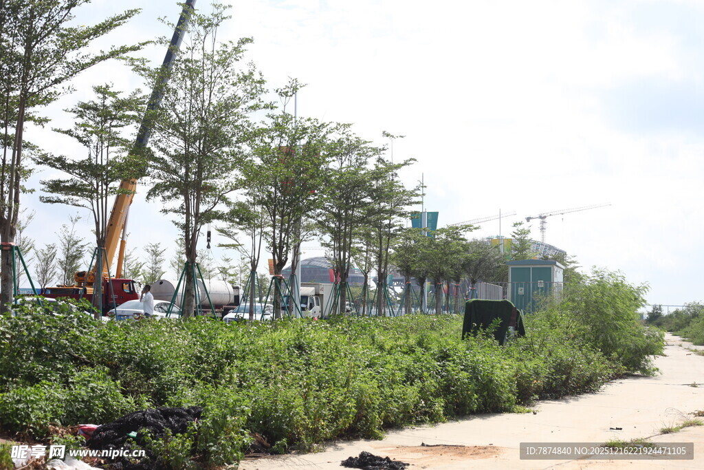 海岸绿化施工场景