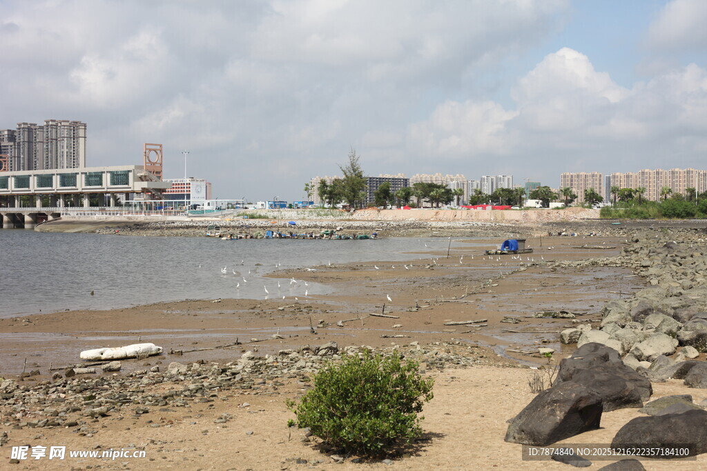 海滨风光岸边景致