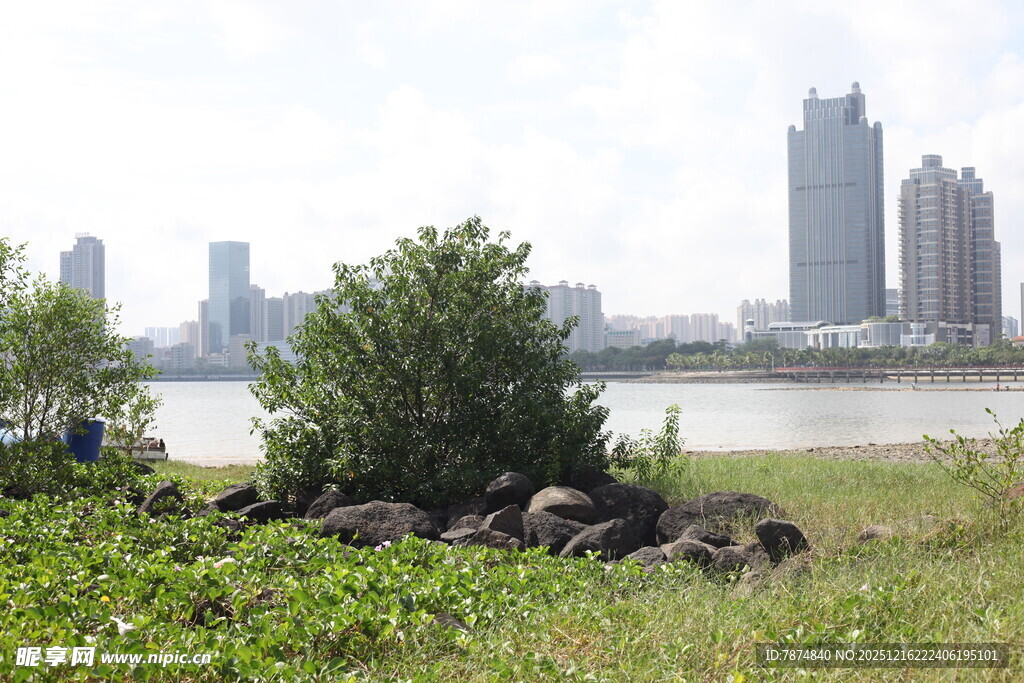 城市河畔绿植与石景景观
