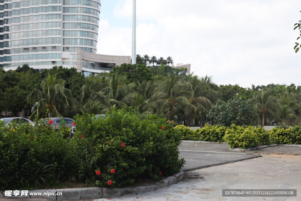 城市中的绿植景观