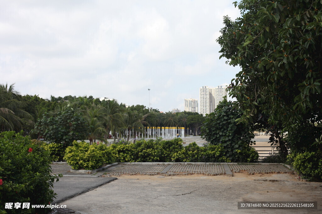 户外绿植环绕的开阔场地