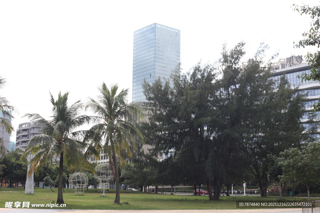 城市公园中的绿树与高楼
