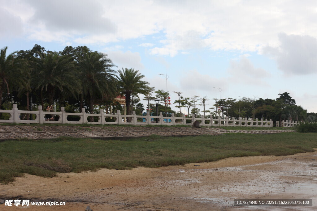 海边围栏与葱郁树木景观