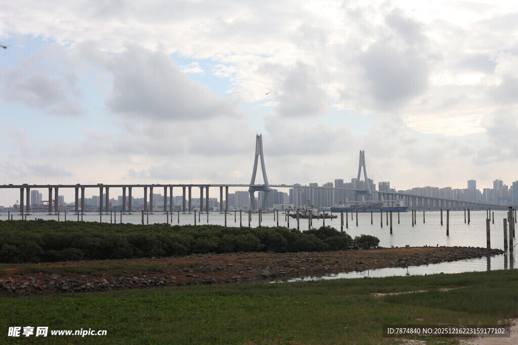 城市桥梁与河畔风景