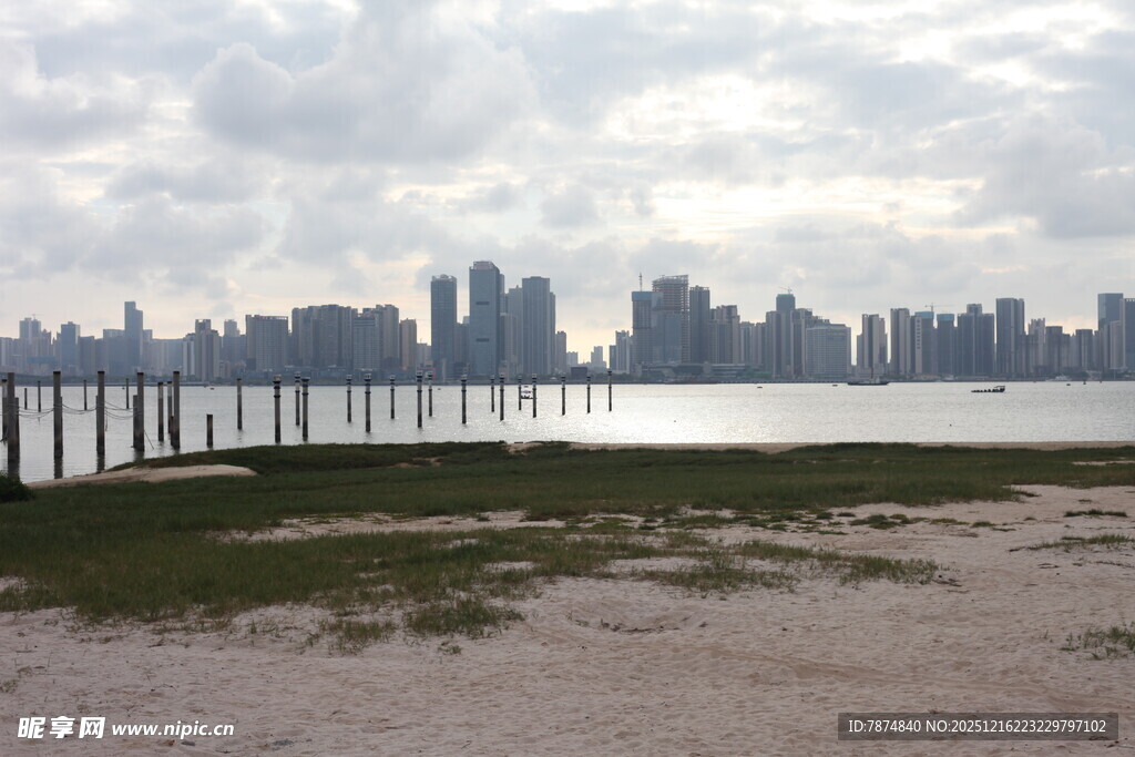 城市天际线与水边滩涂景观