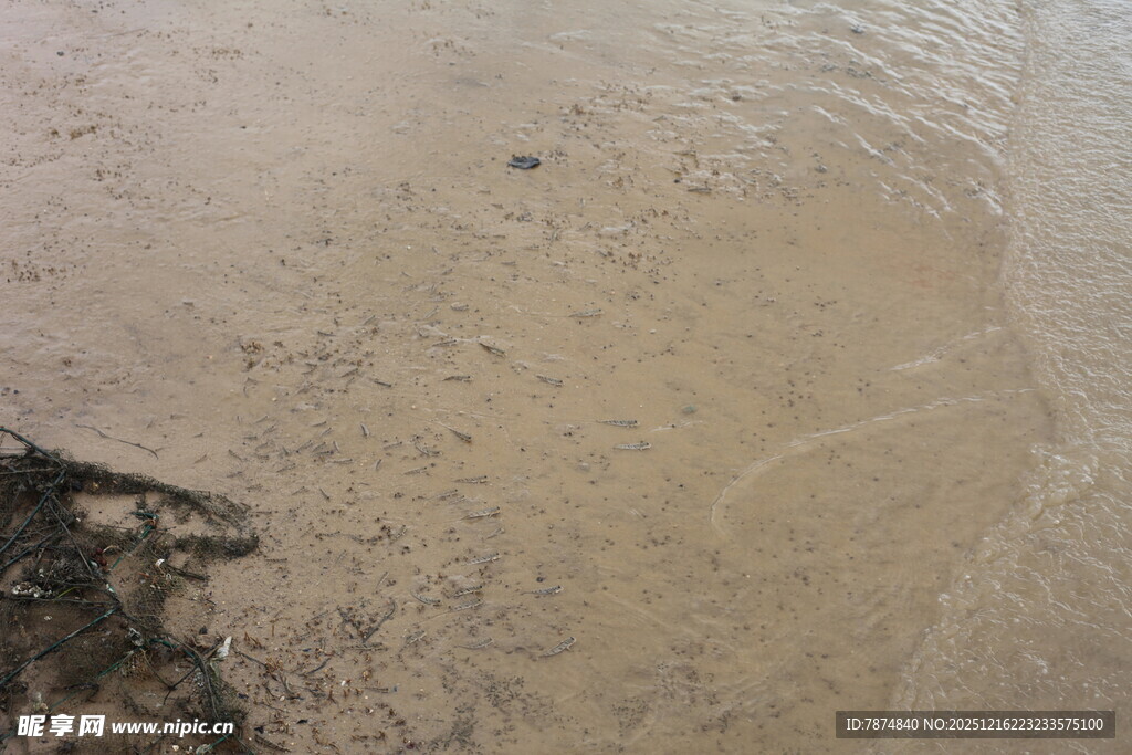 沙滩上的自然纹理景象