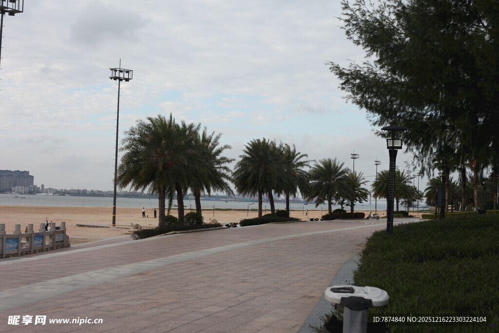 海滨步道旁的绿树景观