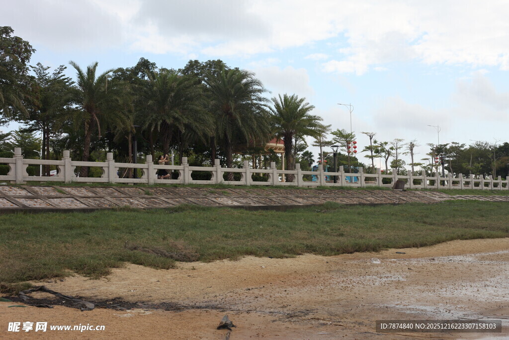 海边围栏与棕榈树景观