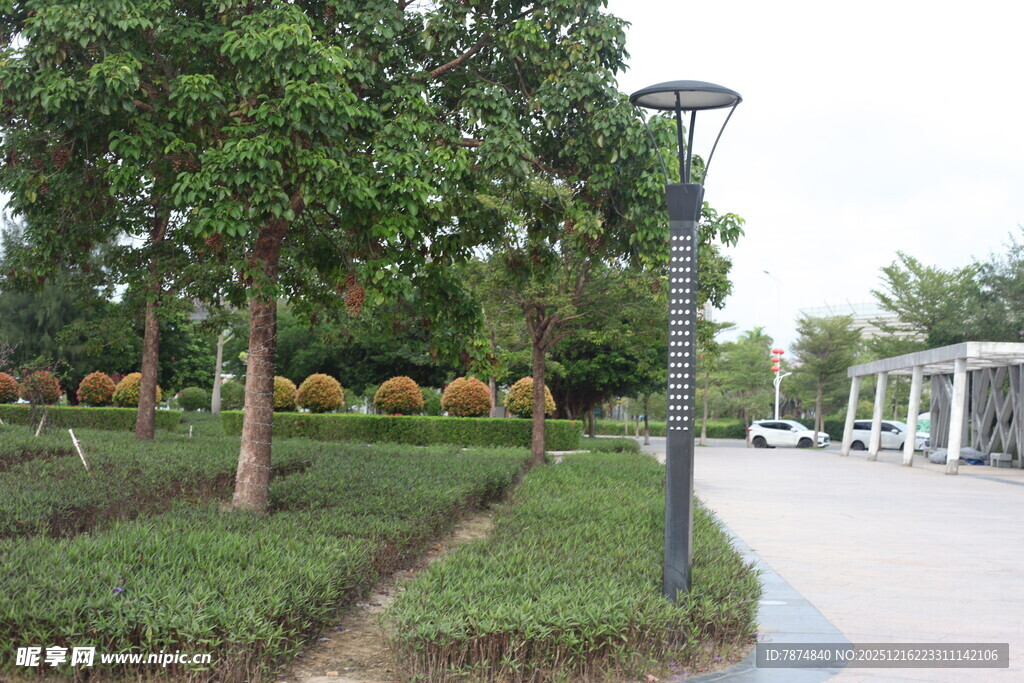 城市园林景观中的路灯设施