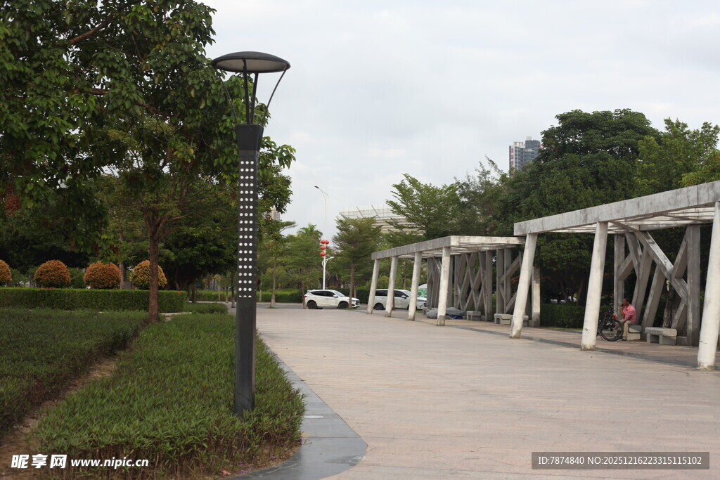 公园林荫步道景观