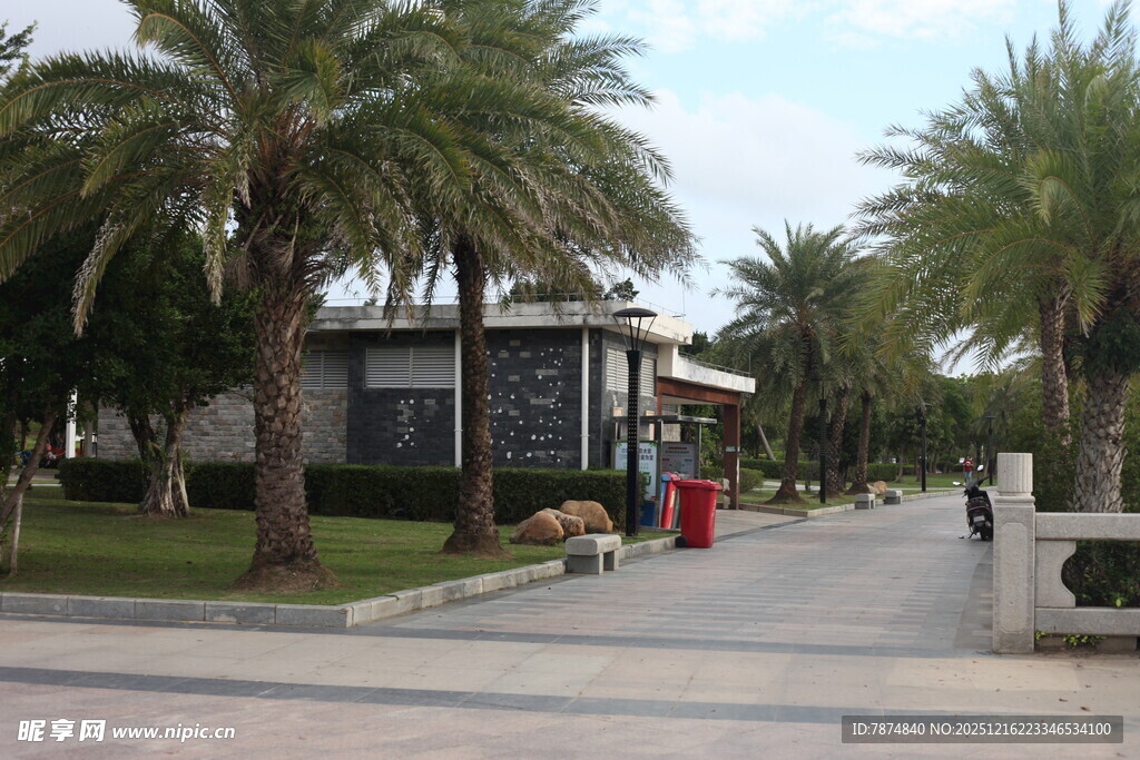 棕榈树环绕的雅致建筑