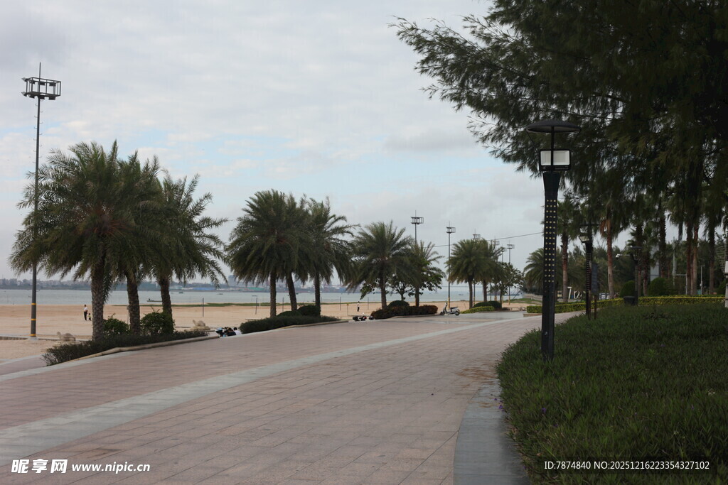 海滨步道旁的绿树景观