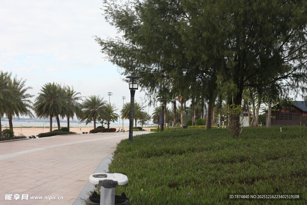 湖畔林荫道风景