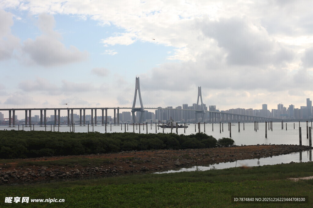 城市远景中的桥梁与天际线