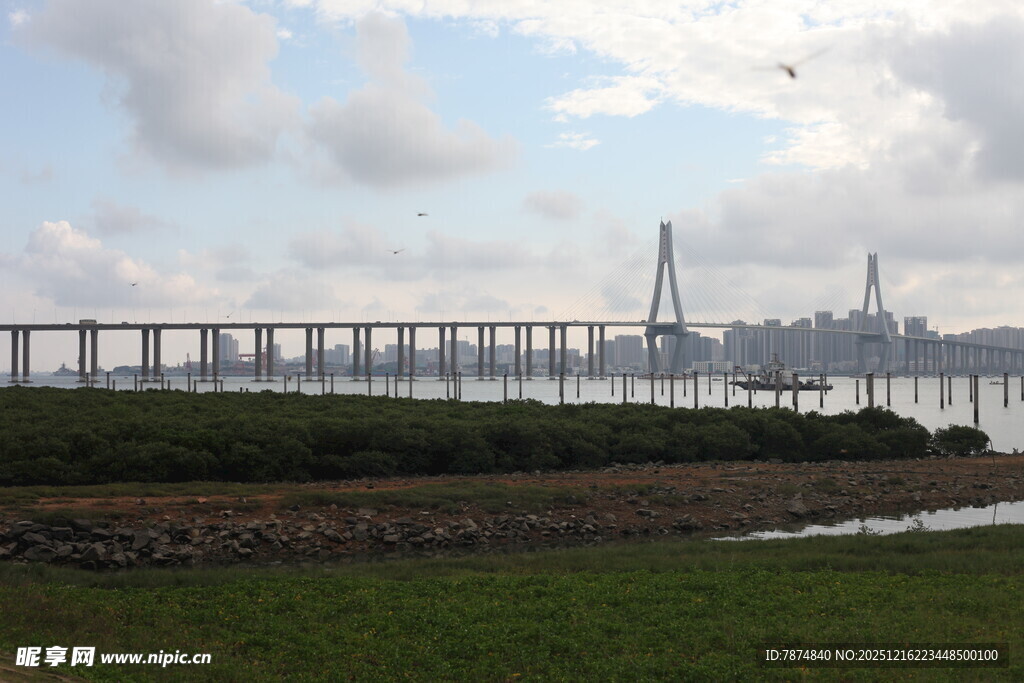 壮观跨海大桥远景