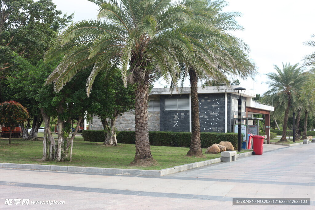 棕榈树旁的别致建筑