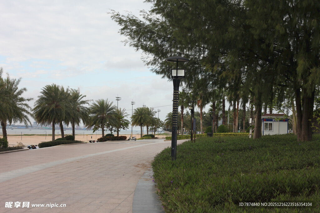 海滨林荫步道风景