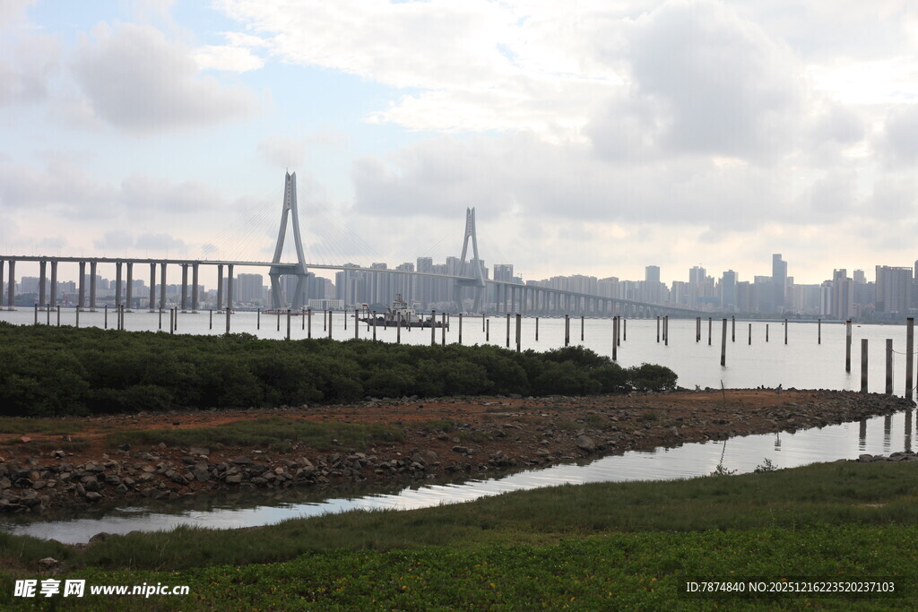 城市河畔桥梁远景风光