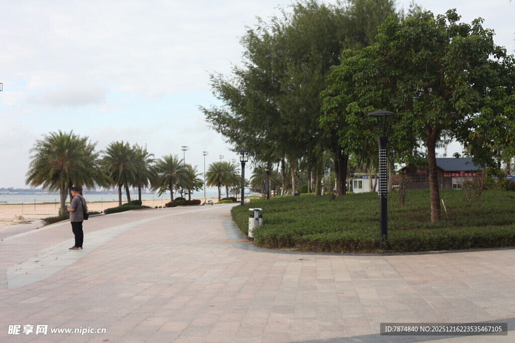 海滨林荫步道上的独行者