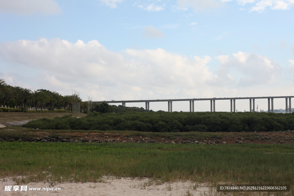 田野上的高架桥梁景观