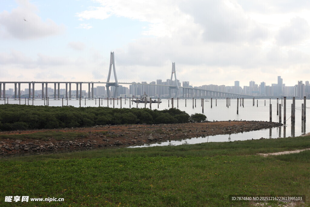 河畔大桥远景风光