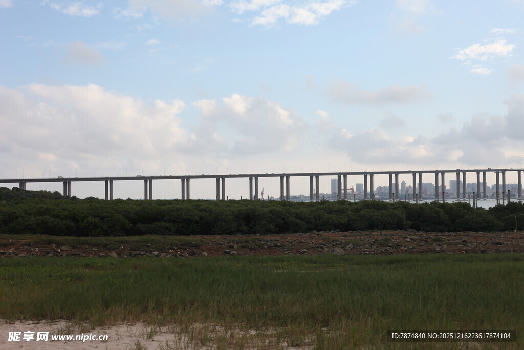 田野上的高架桥