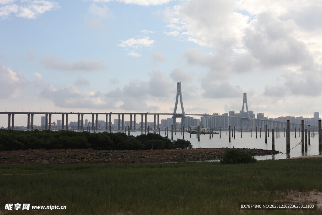 壮观跨海大桥远景