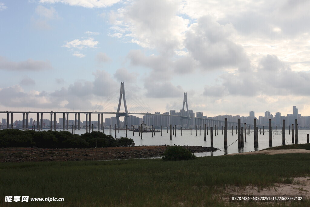 江边大桥远景风光
