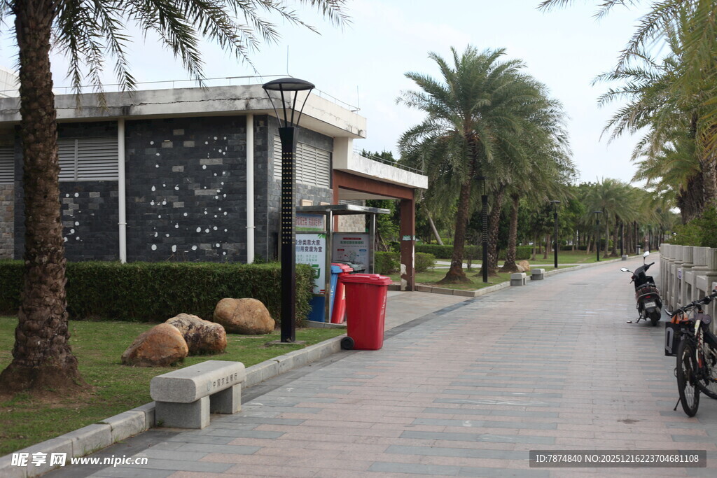 小区内的宁静林荫小道