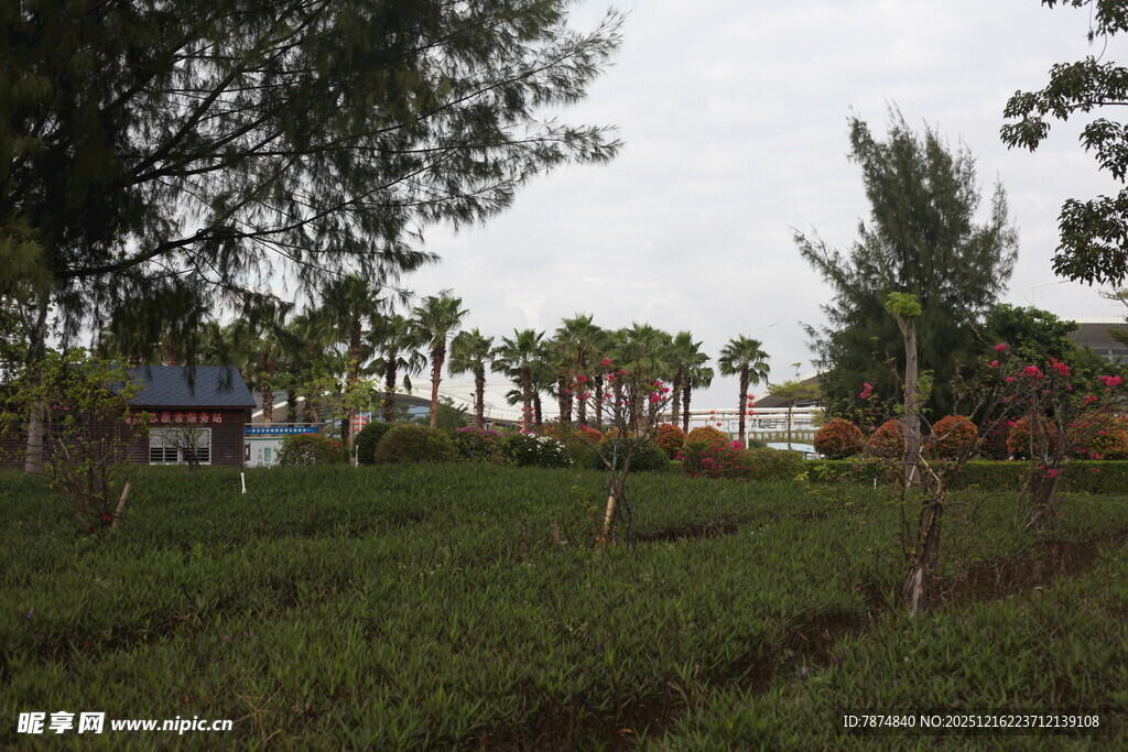 乡村绿意盎然的田园风光