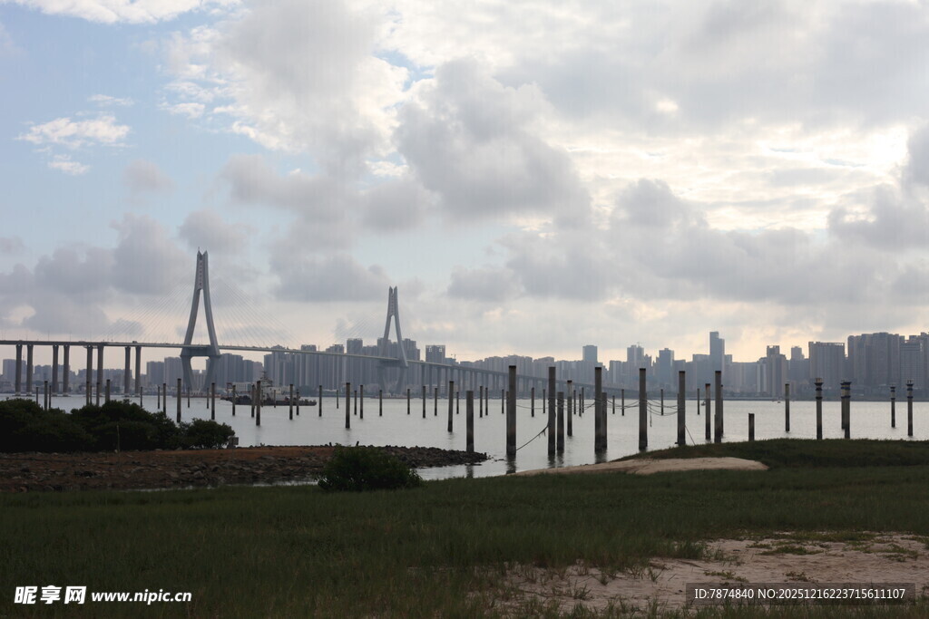 城市远景与桥梁景观