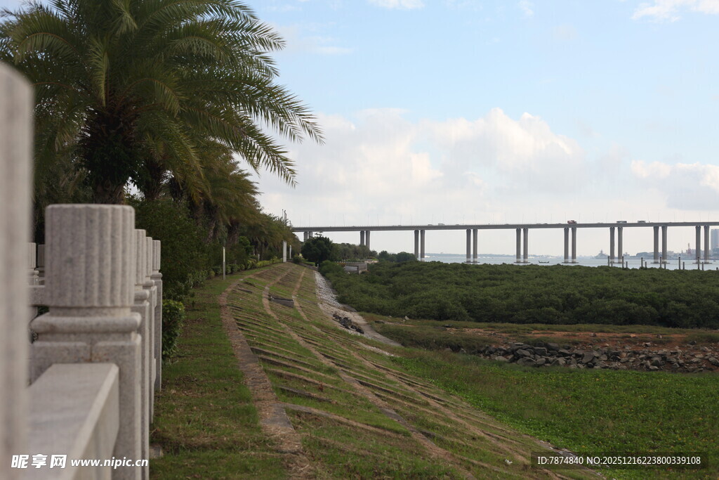 河畔护栏旁的桥梁远景